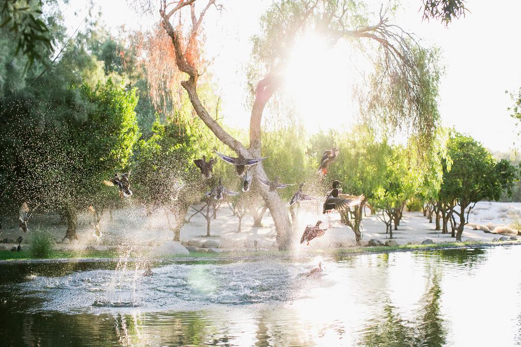 Two Bunch Palms Resort & Spa - Adults Only Desert Hot Springs Extérieur photo