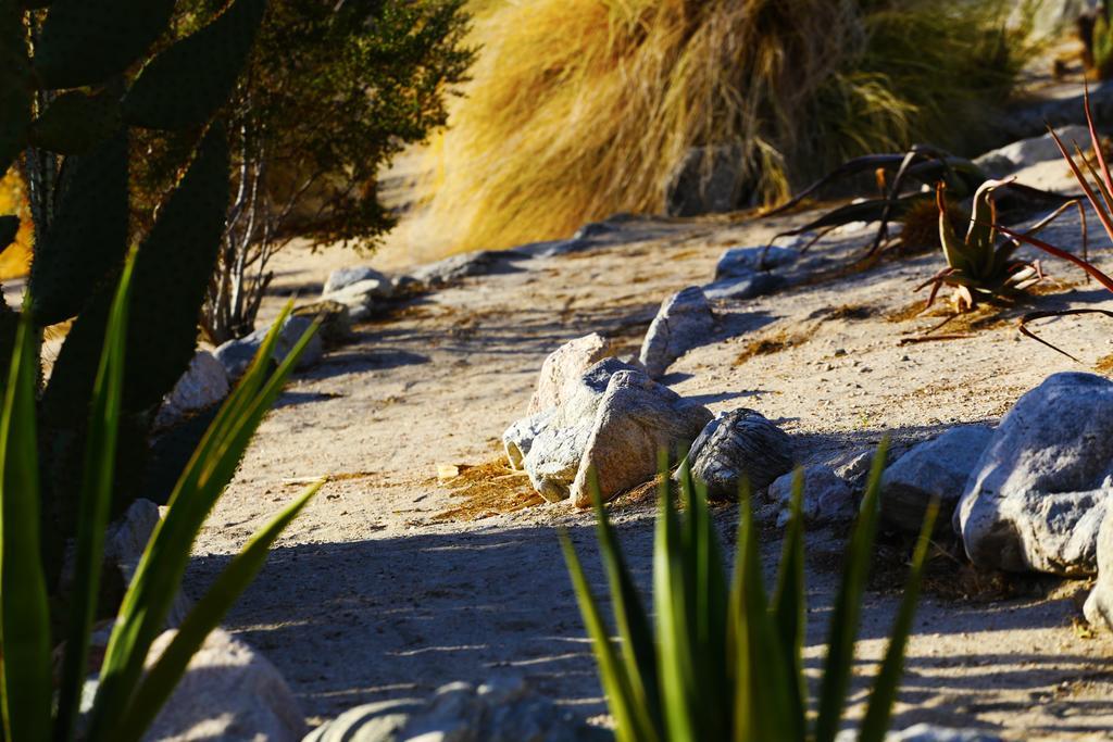 Two Bunch Palms Resort & Spa - Adults Only Desert Hot Springs Extérieur photo